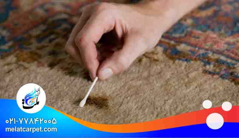 شستشوی تخصصی فرش در قالیشویی جشنواره